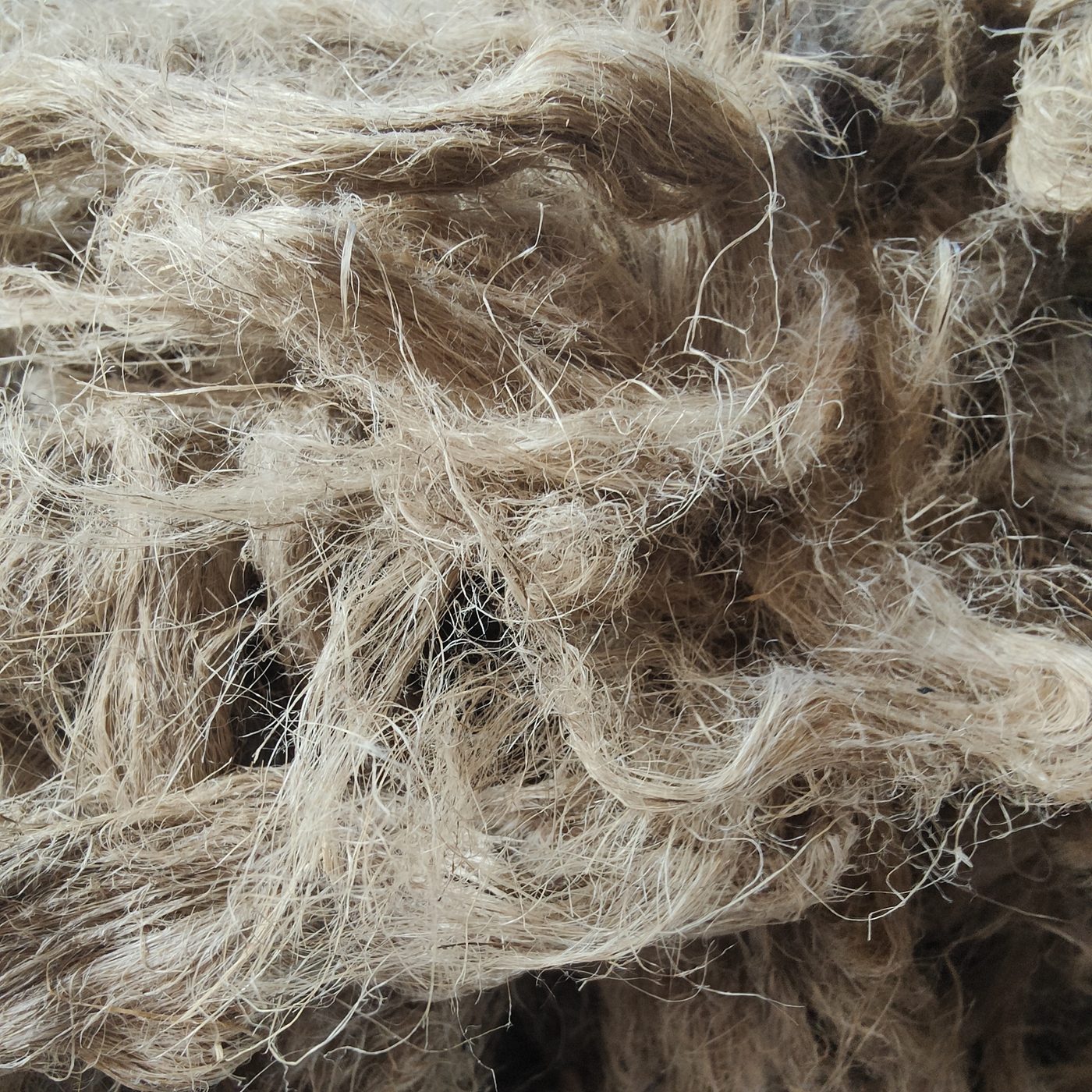 Fibres natives.